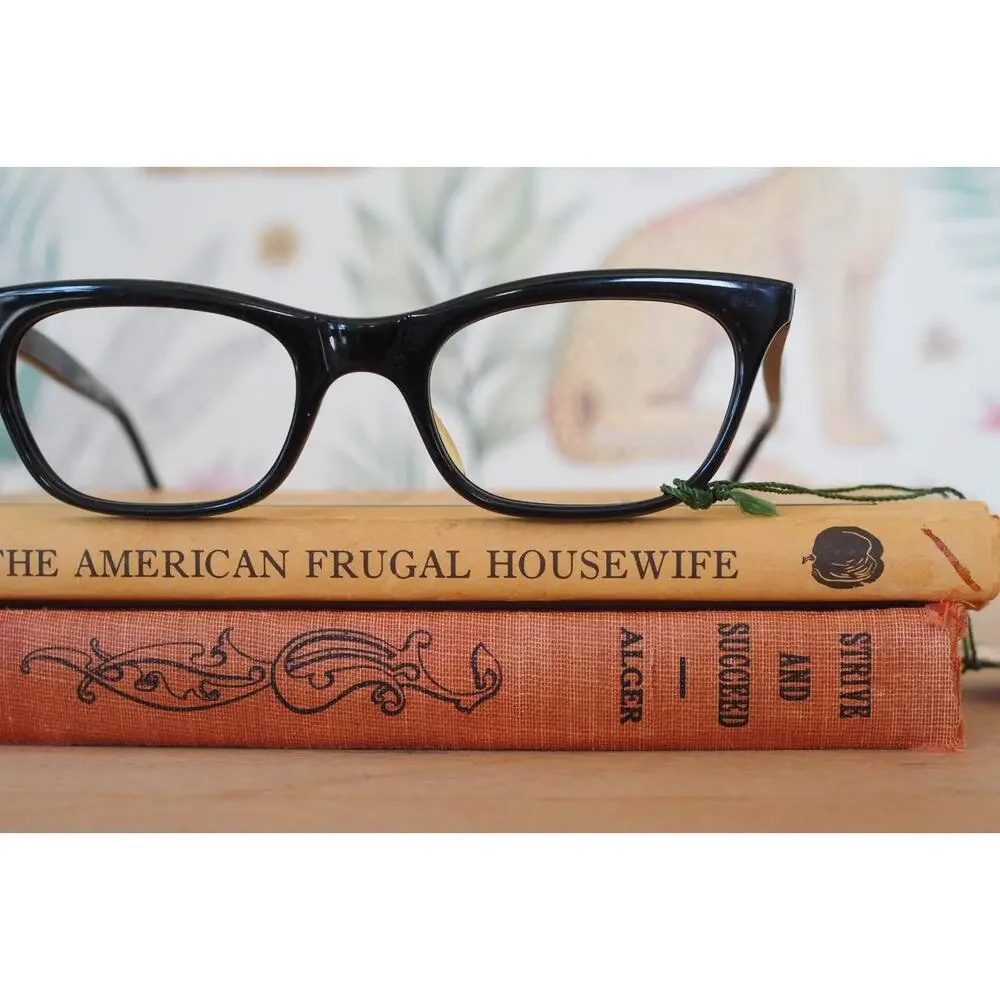 Vintage 1960s De Lotto Cat Eye Eyeglasses Italy Rockabilly Pin Up Retro MCM
